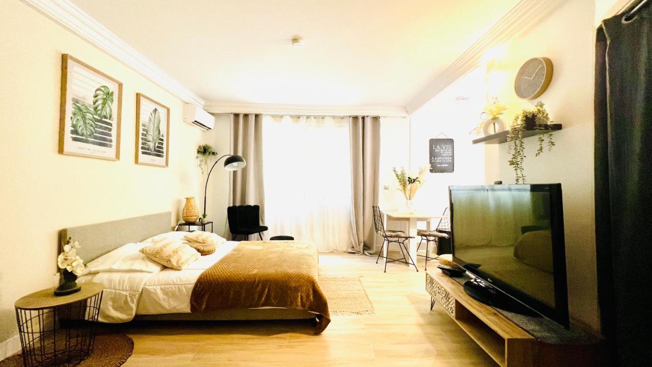 Le Miramar Nice - Clim, Parking, Wifi Et Piscine Exterior foto